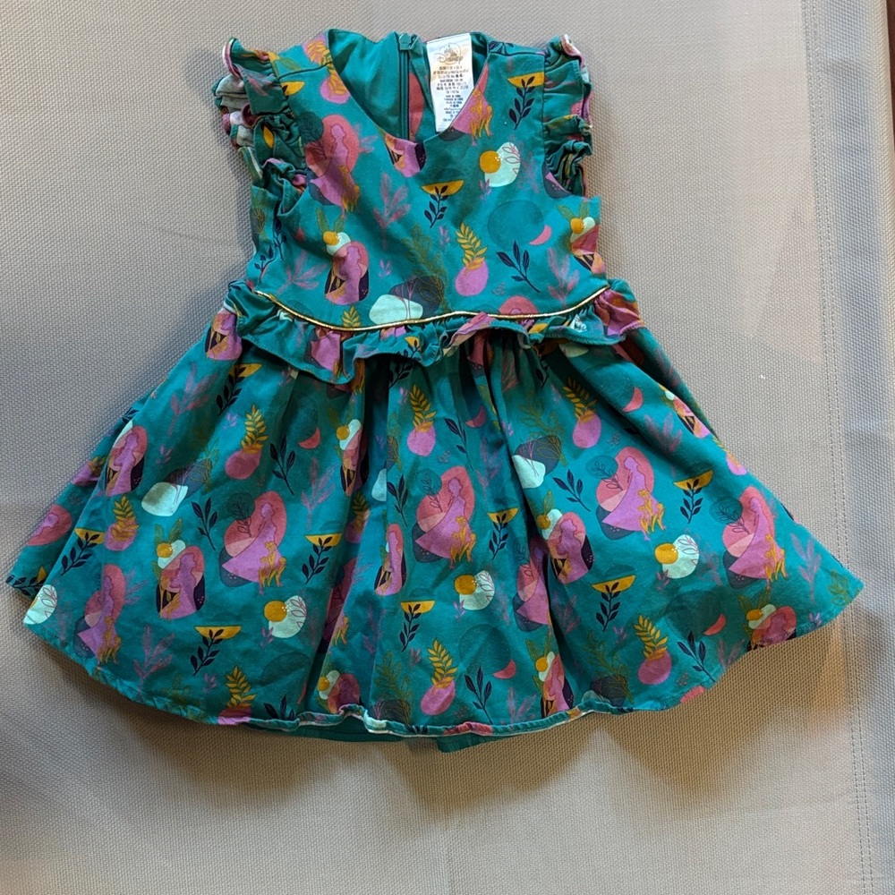 Disney Teal and Pink Elsa Anna Frozen Floral sleeves party dress sz 4